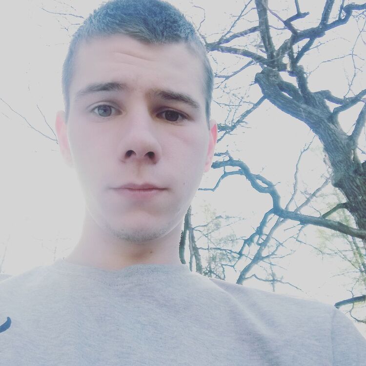  26167209  , 29 ,    -