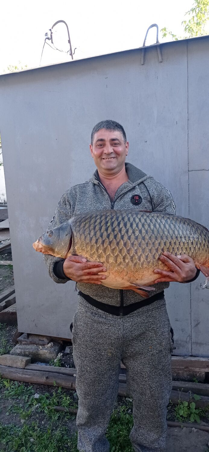 ���������� ������, ���� ������� �����, 44 ����, ������������ ��� ������, ����� � ���������