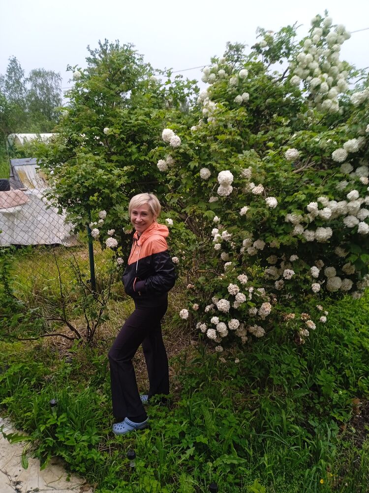  52848029  , 44 ,    -