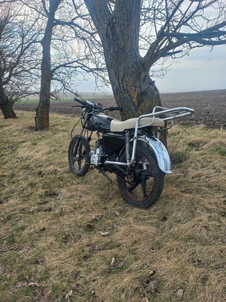 ���� 55061549 ����� ����, 19 ���, ���� ���������� � �������