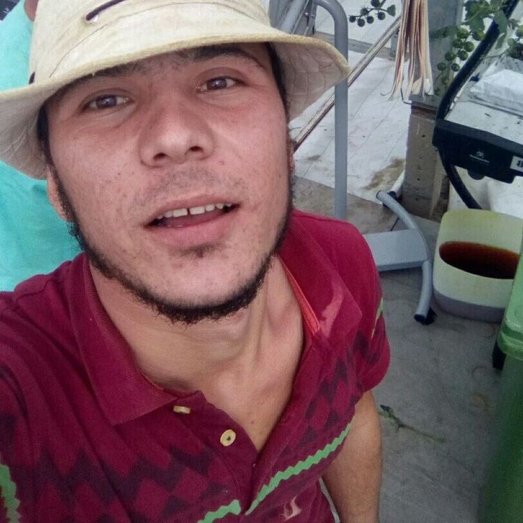 ���� 17444119 ������� ���������, 31 ���, ���� ���������� � �����-����������