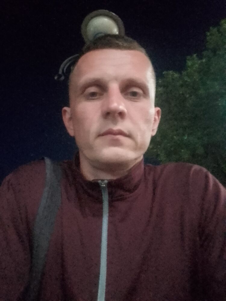  53091419  , 29 ,    