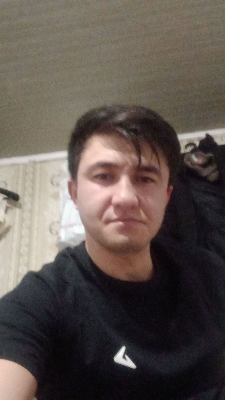  43911819  , 28 ,    