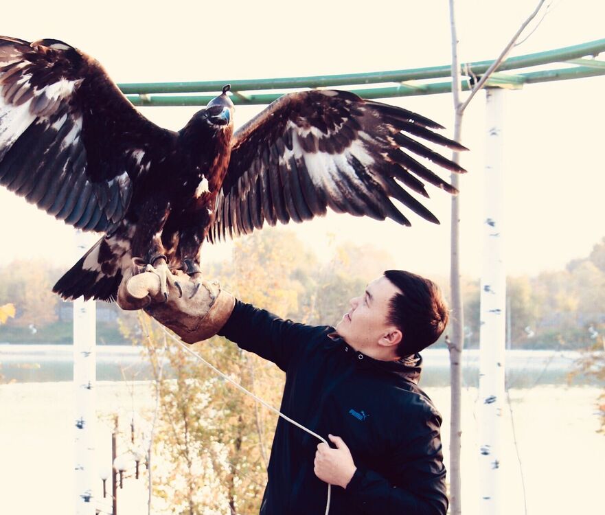 ���� 25822799 ������� �����, 36 ���, ���� ���������� � ��������