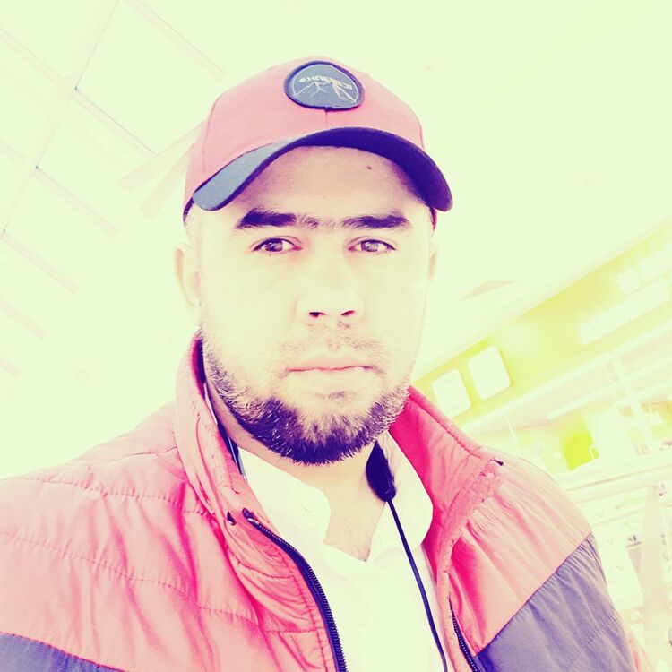 ���� 35271249 ������� ����, 29 ���, ���� ���������� � ������