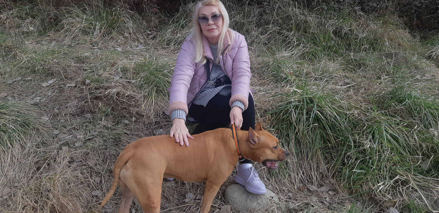 ���������� �������, ���� ������� �����, 56 ���, ������������ ��� c�������� ���������