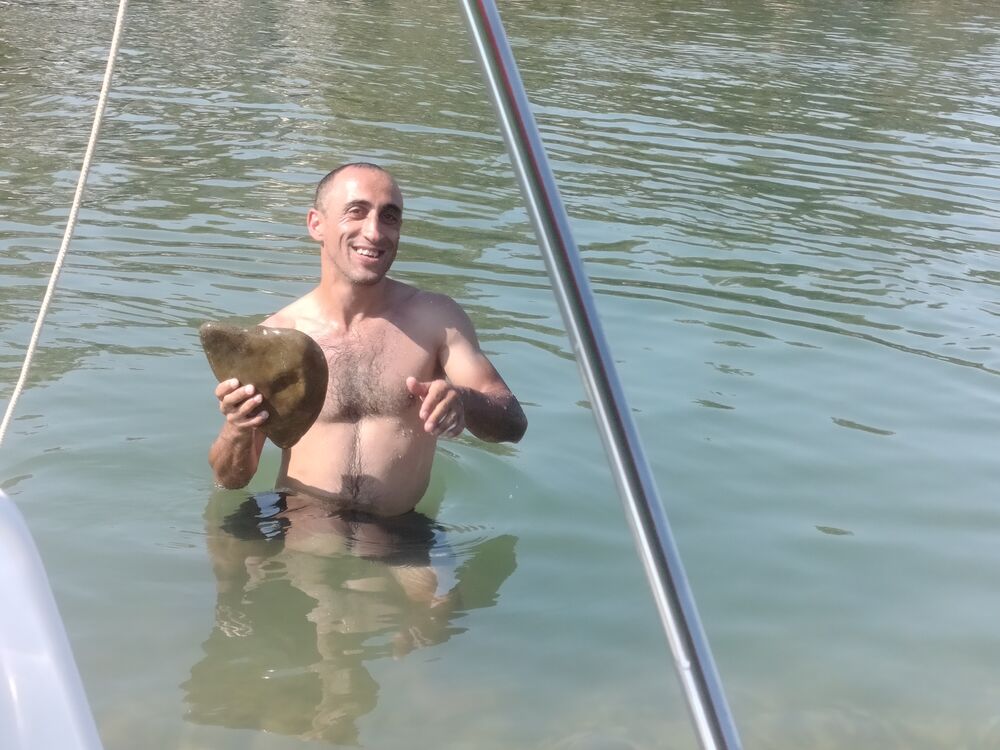 ���� 38765229 ������� Rom, 39 ���, ���� ���������� � ����������