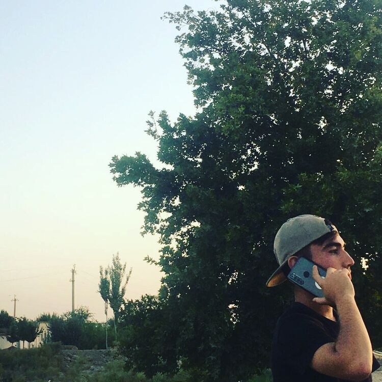  31045029  , 22 ,    -