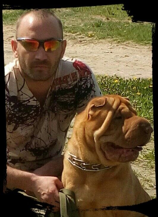 ���������� ������ ��������, ���� ������� ������, 43 ����, ������������ ��� ������, ����� � ���������, c�������� ���������