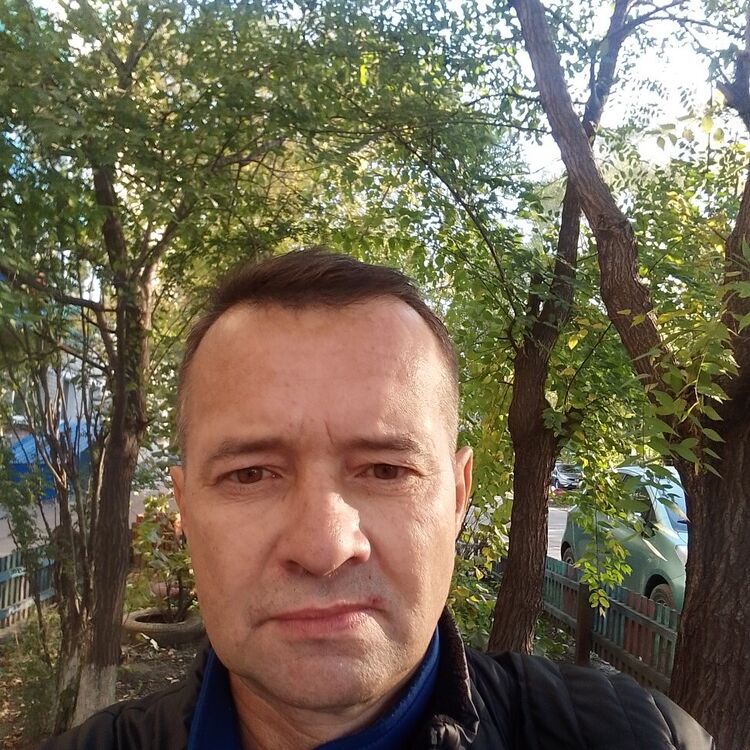 ���� 54222439 ������� �������, 48 ���, ���� ���������� � ����������