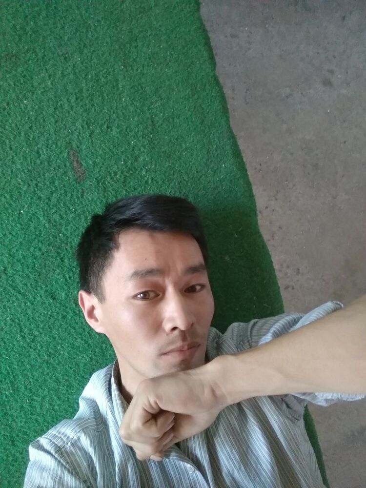  16453739  , 40 ,    