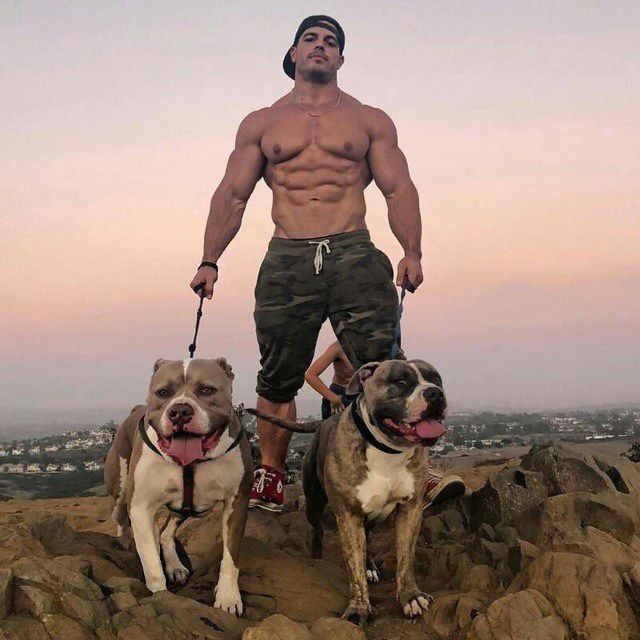 ���� 37319009 ������� �����, 35 ���, ���� ���������� � ������������