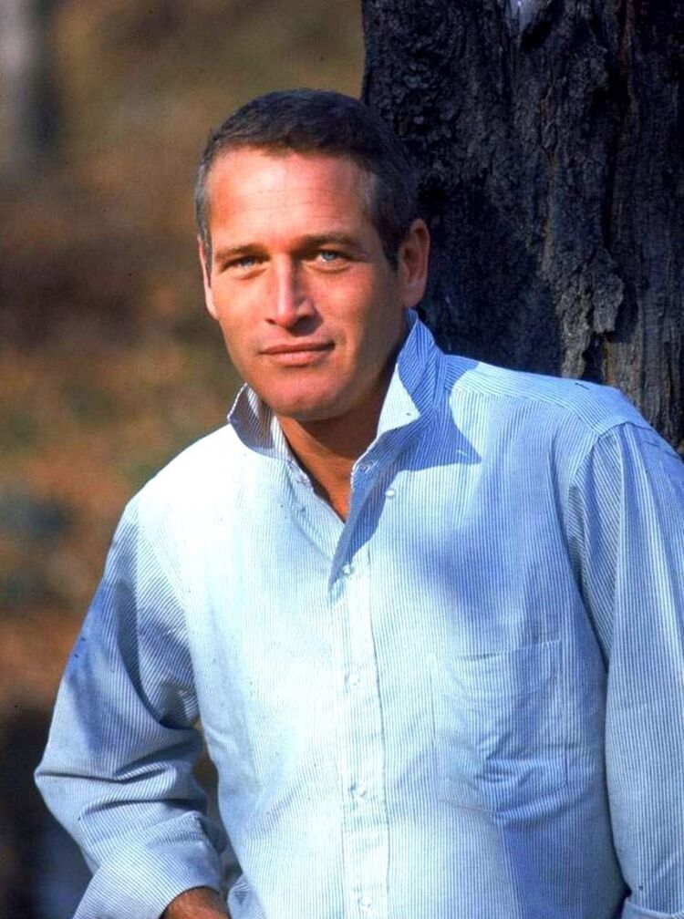 ���� 19231109 ������� ������, 38 ���, ���� ���������� � �����