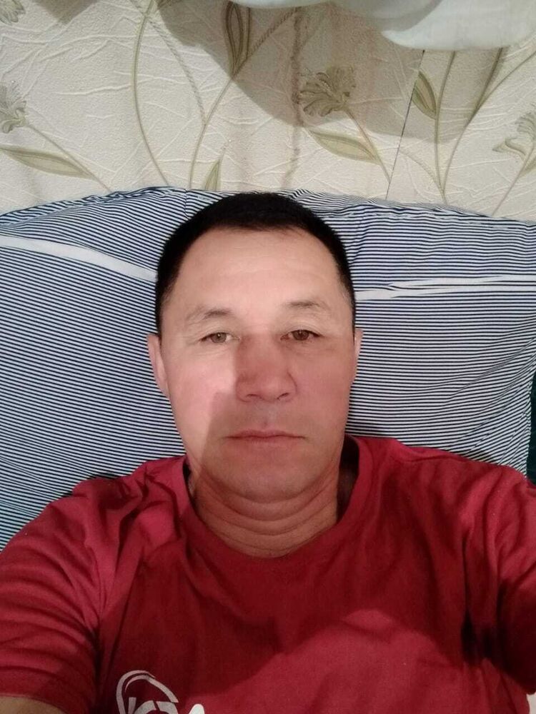 ���� 42542379 ������� ����, 32 ����, ���� ���������� � �����-����������