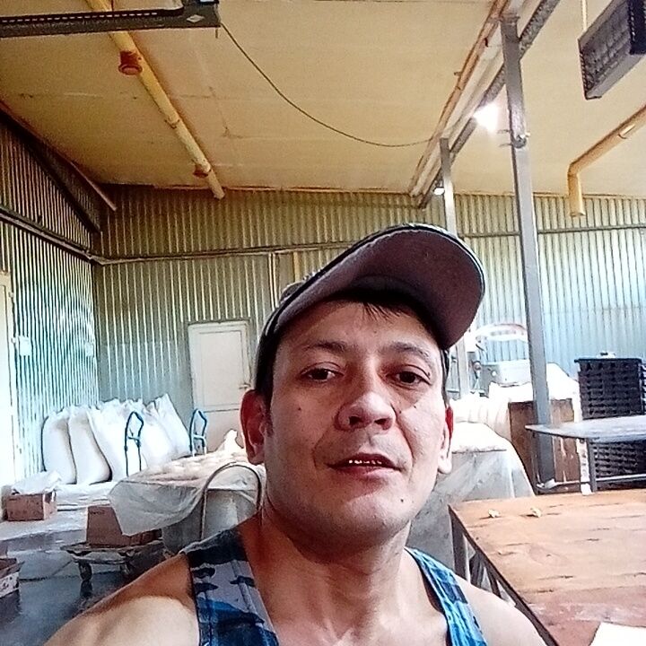  33920619  , 40 ,    