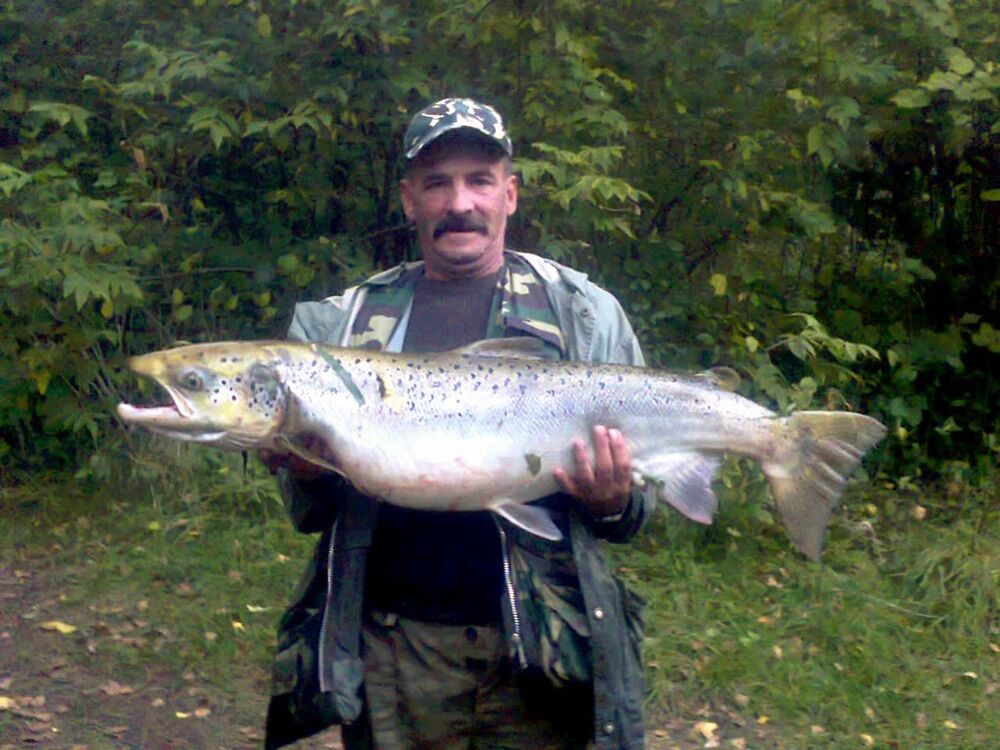 ���������� �������, ���� ������� ������, 68 ���, ������������ ��� c�������� ���������