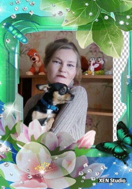 ���� 55322579 ������� ��������, 45 ���, ���� ���������� � ��������������