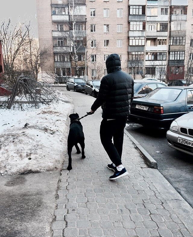 ���������� ������, ���� ������� ����, 32 ����, ������������ ��� ������, ����� � ���������, c�������� ���������