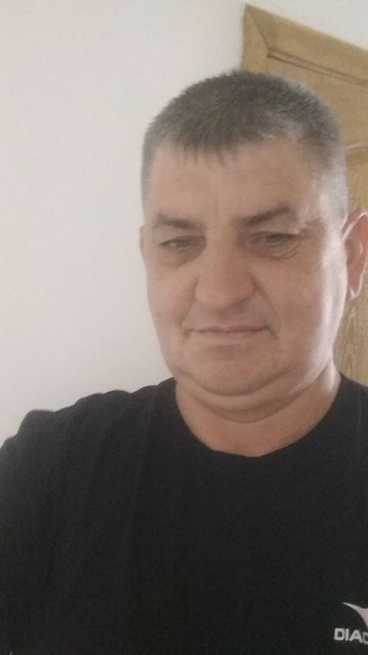  45811919   , 49 ,    