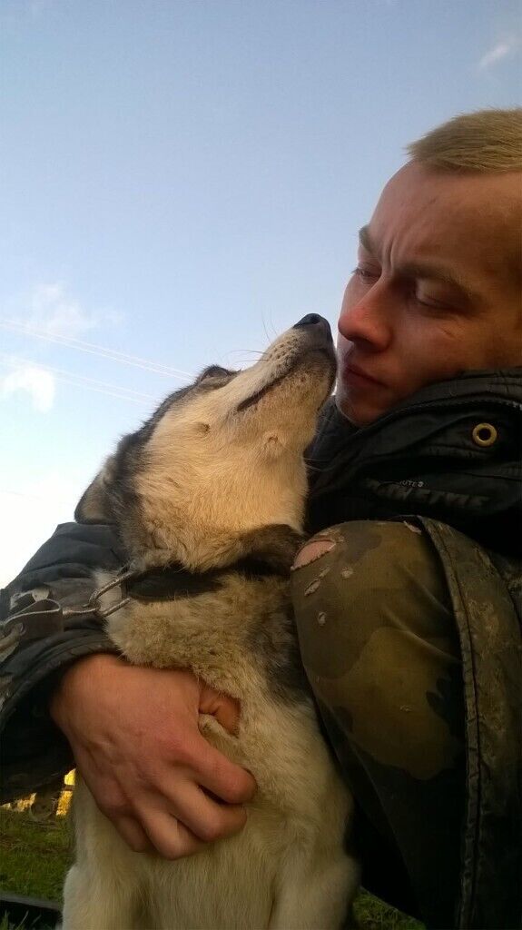 ���������� ������, ���� ������� Vladimir, 30 ���, ������������ ��� ������, ����� � ���������, c�������� ���������