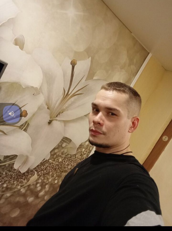  41308619  , 31 ,    