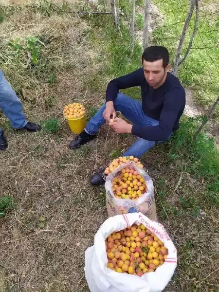 ���� 24909999 ������� Malik, 35 ���, ���� ���������� � ������