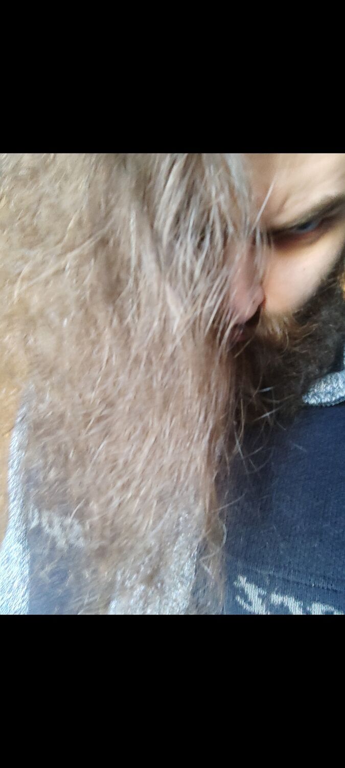   ,   Serginerio, 36 ,     , c 