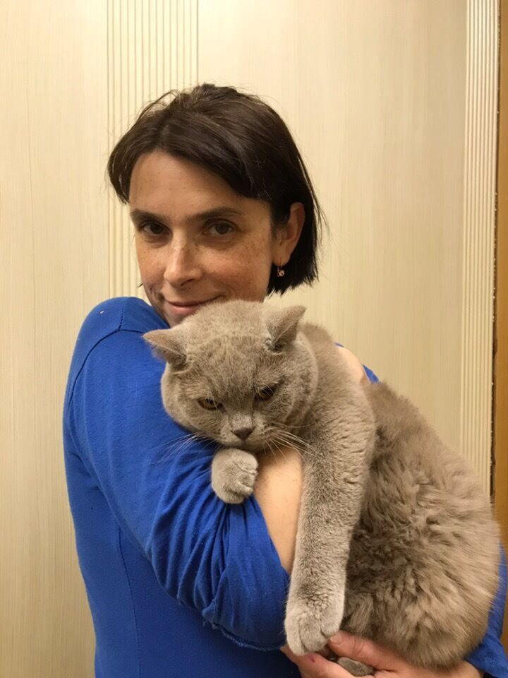  54412569  , 50 ,    -