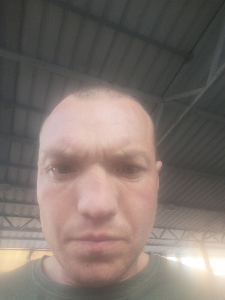  46264379  , 36 ,    