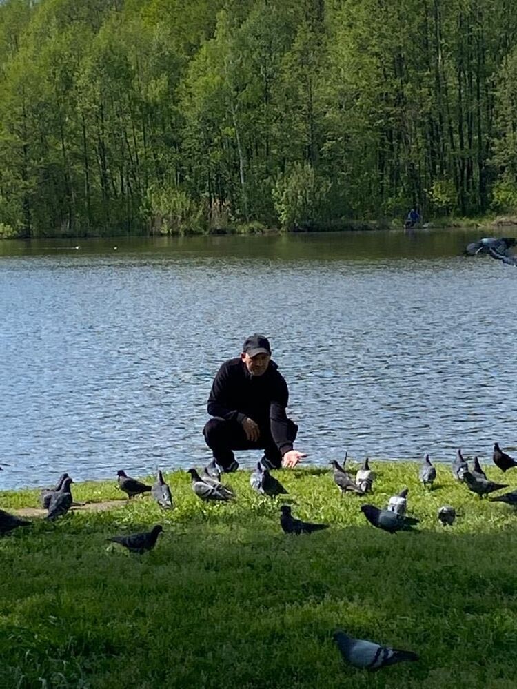  ,   , 43 ,   ,   , 