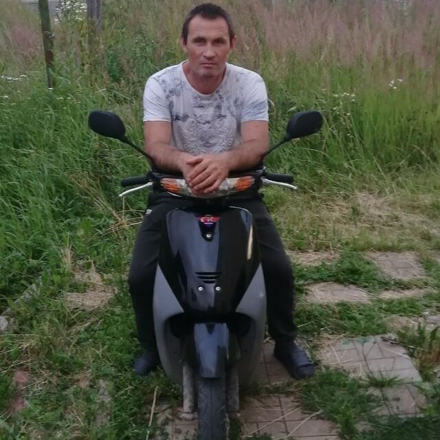  40861409  , 44 ,    