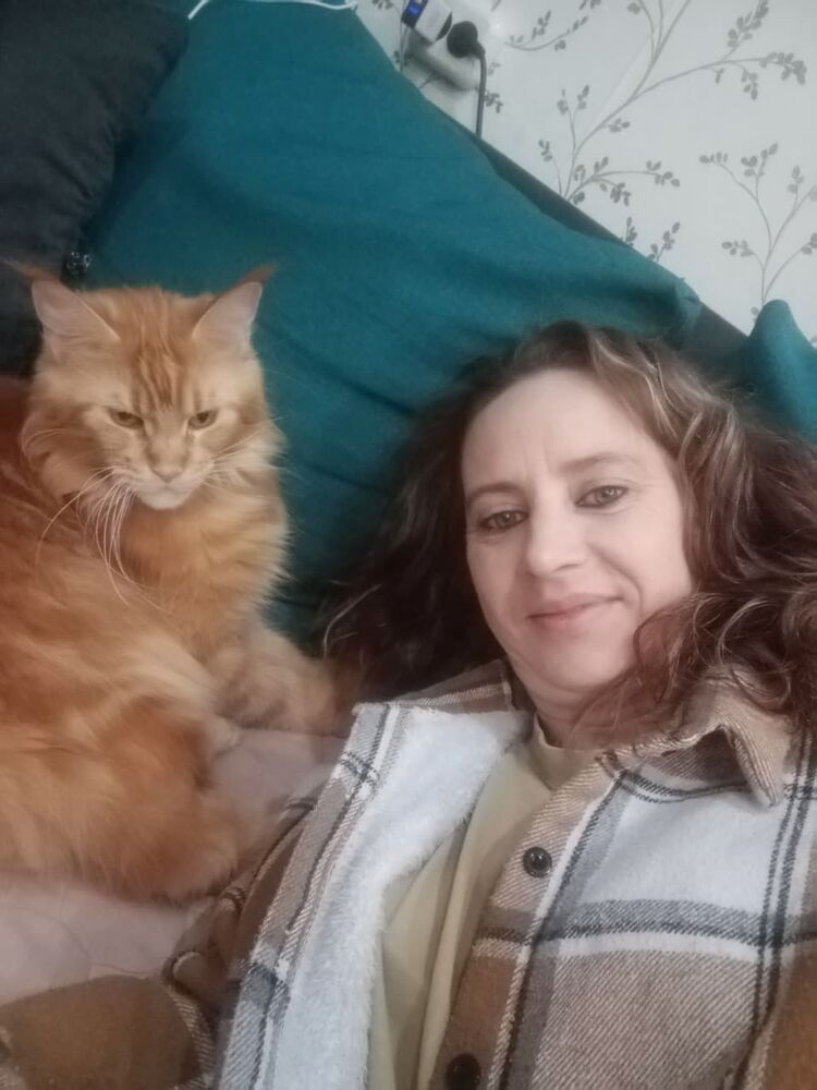 ���������� �����, ���� ������� ����, 40 ���, ������������ ��� c�������� ���������