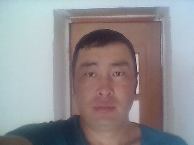  17649349  , 36 ,    