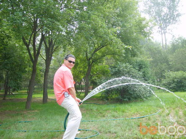  518589  Wish77, 48 ,    