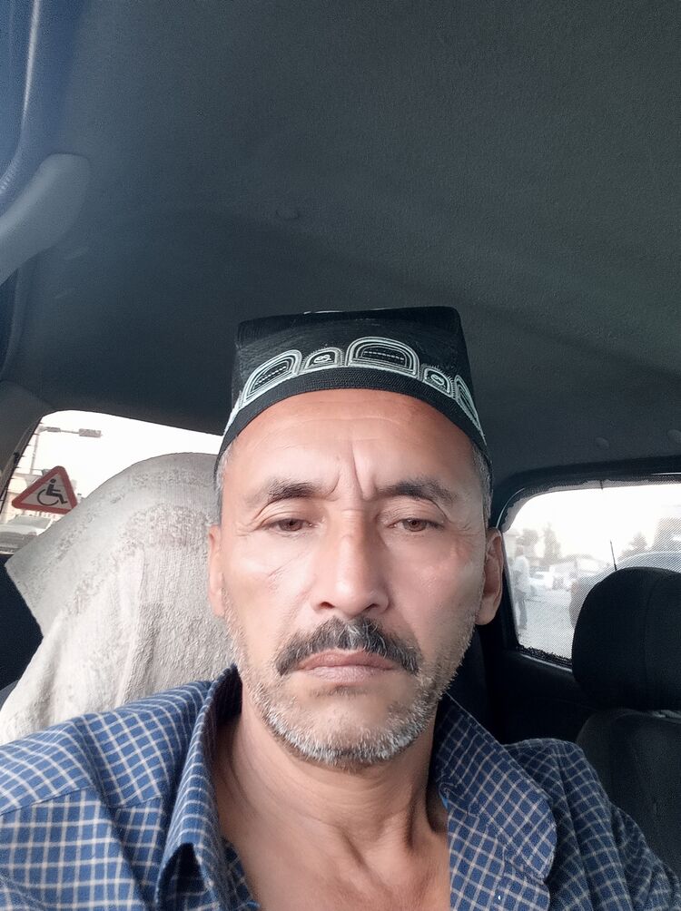  33904059  , 56 ,    