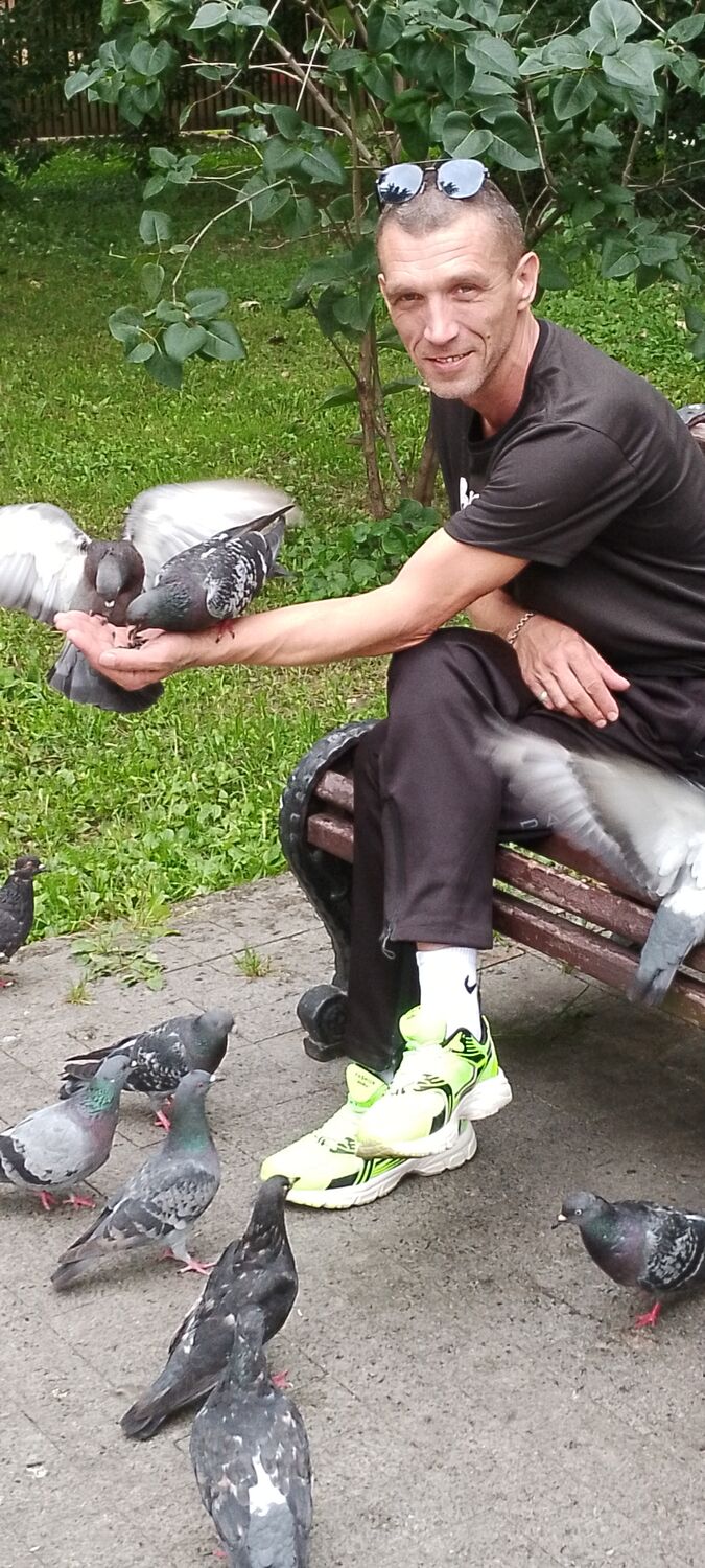 ���� 46147419 ������� �������, 50 ���, ���� ���������� � ������