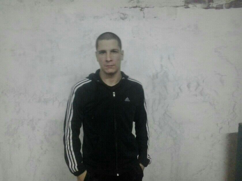 ���� 17485519 ������� Cerega, 36 ���, ���� ���������� � ������ ���������