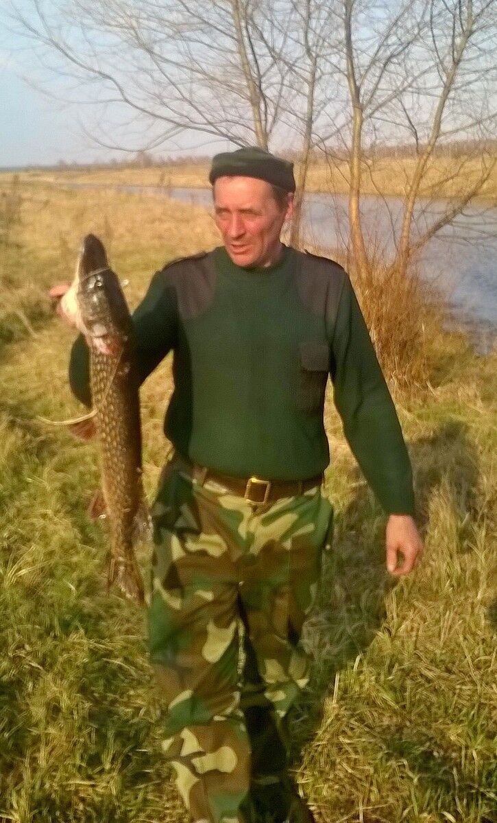  ,   , 59 ,  