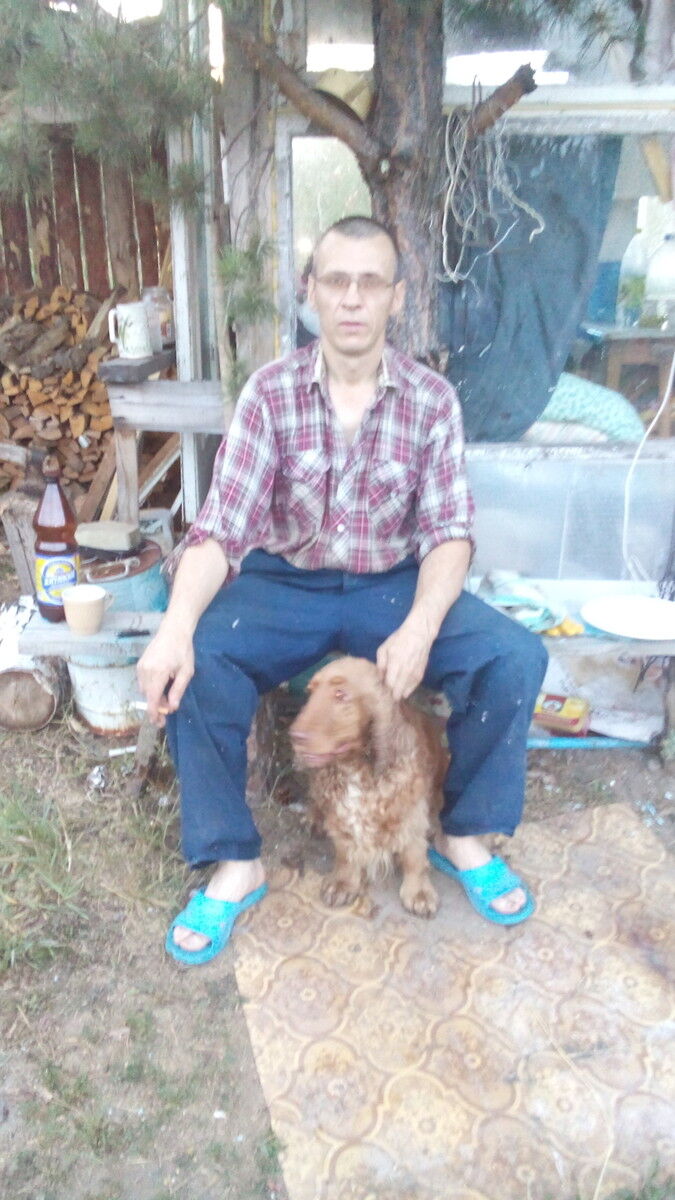 ���������� ������� �����, ���� ������� �������, 50 ���, ������������ ��� ������, ����� � ���������, c�������� ���������