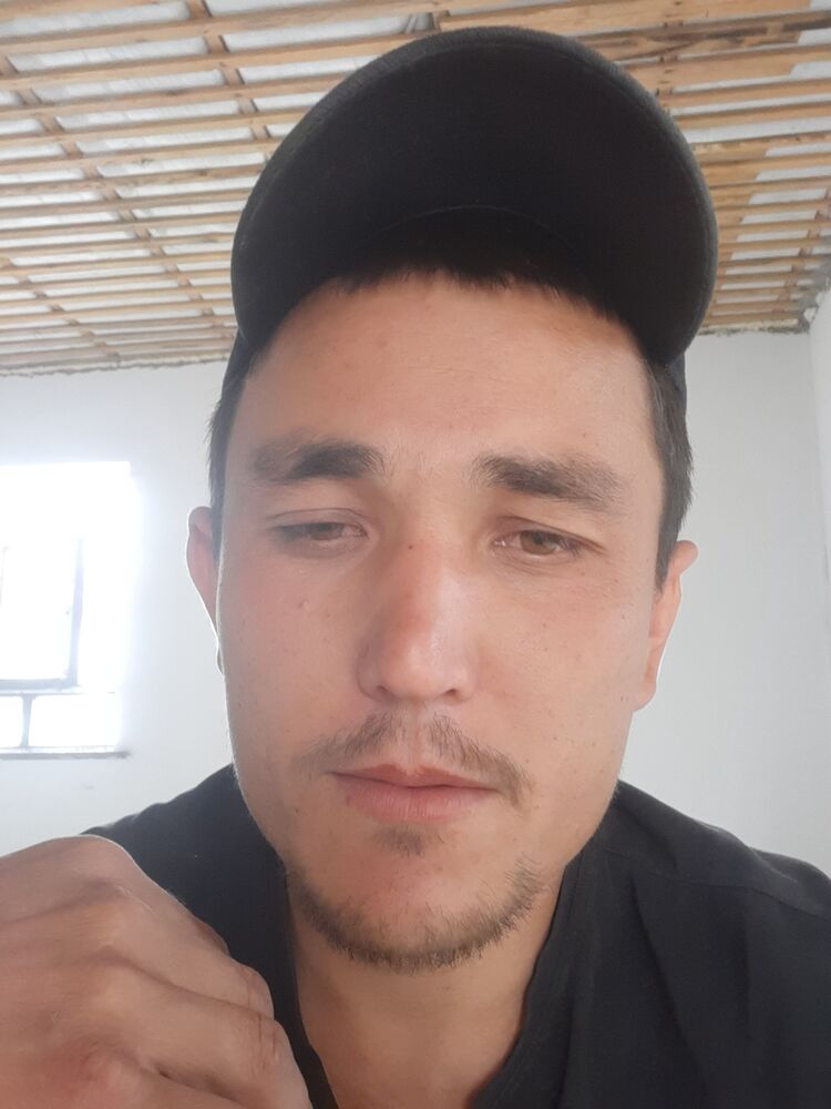  ,   Zamon, 35 ,   ,   , c 