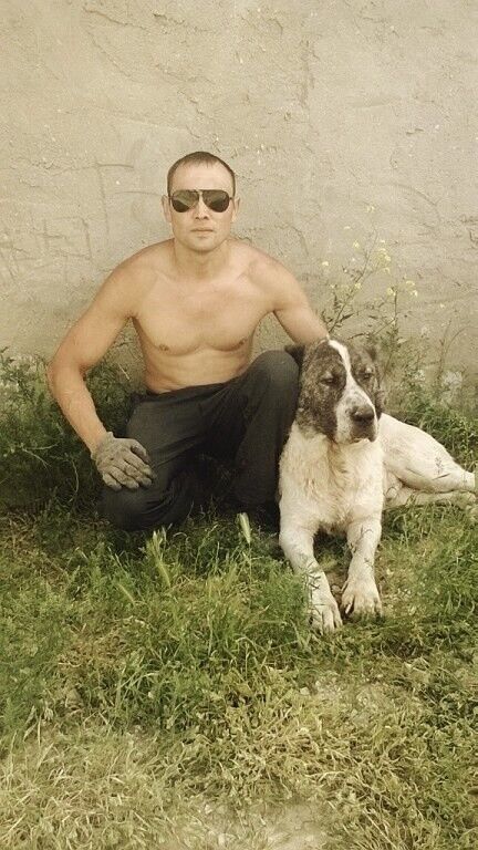  9286889  Hitmen, 39 ,    