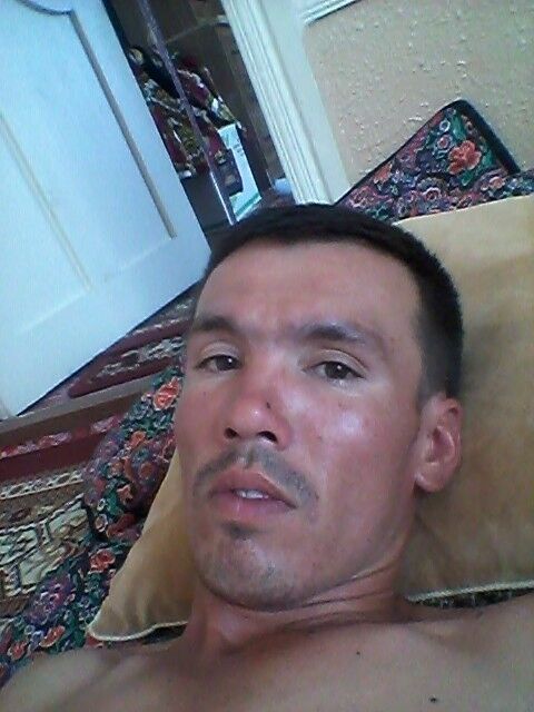 ���� 16735739 ������� �����, 33 ����, ���� ���������� � ��������