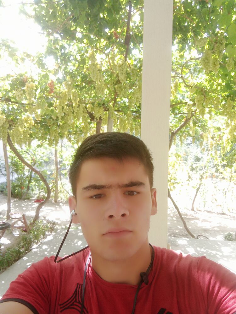 ���� 44019039 ����� Mansurbek, 21 ���, ���� ���������� � ������