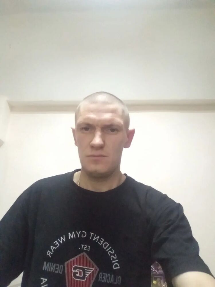  29158609  , 40 ,     