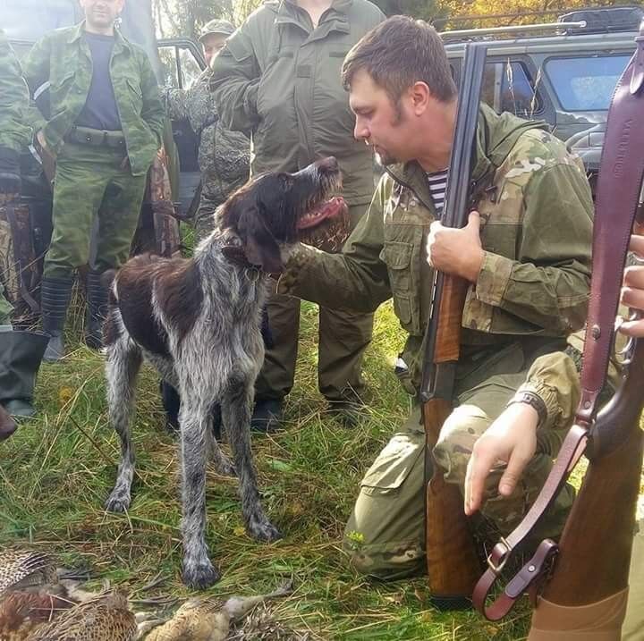 ���������� ������, ���� ������� ������, 41 ���, ������������ ��� ������, ����� � ���������, c�������� ���������