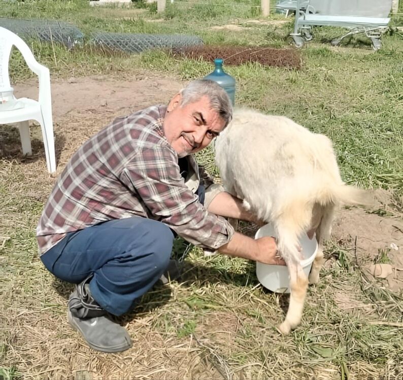 ���������� �����������, ���� ������� ��� ���, 58 ���, ������������ ��� c�������� ���������