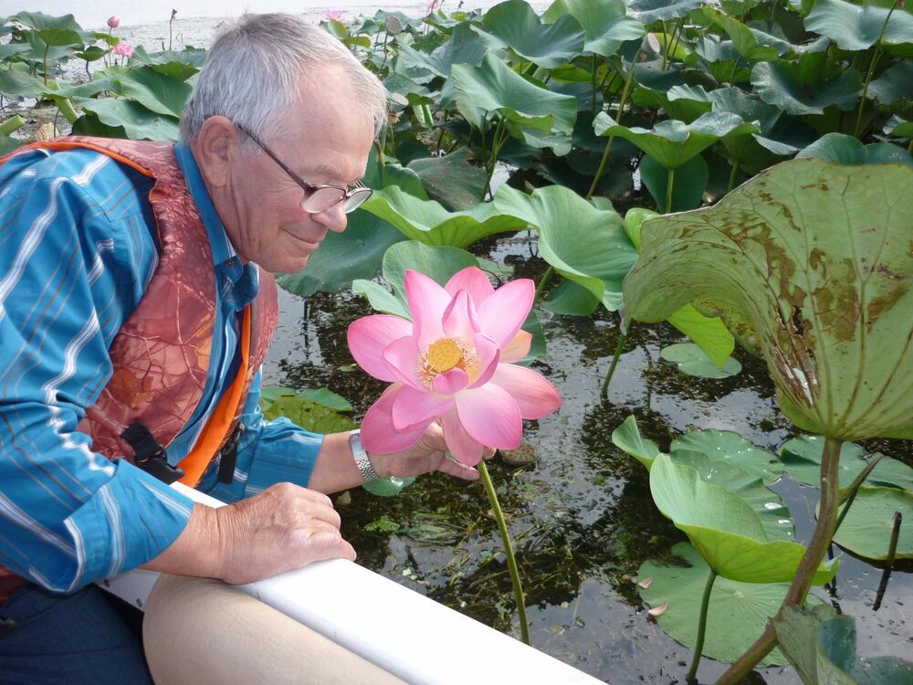 ���� 41417359 ������� ���������, 62 ����, ���� ���������� � ������