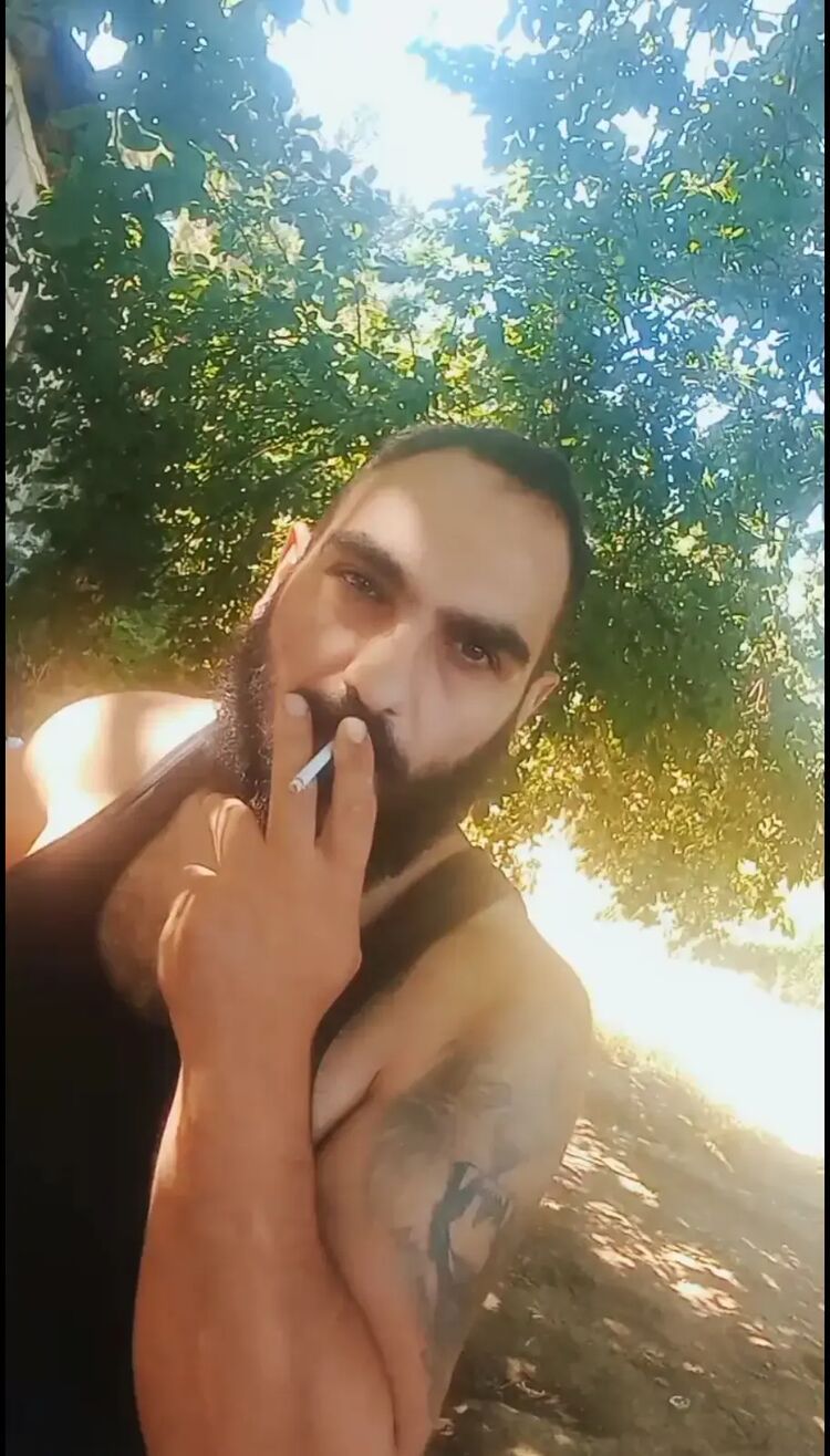  44259109  , 33 ,    
