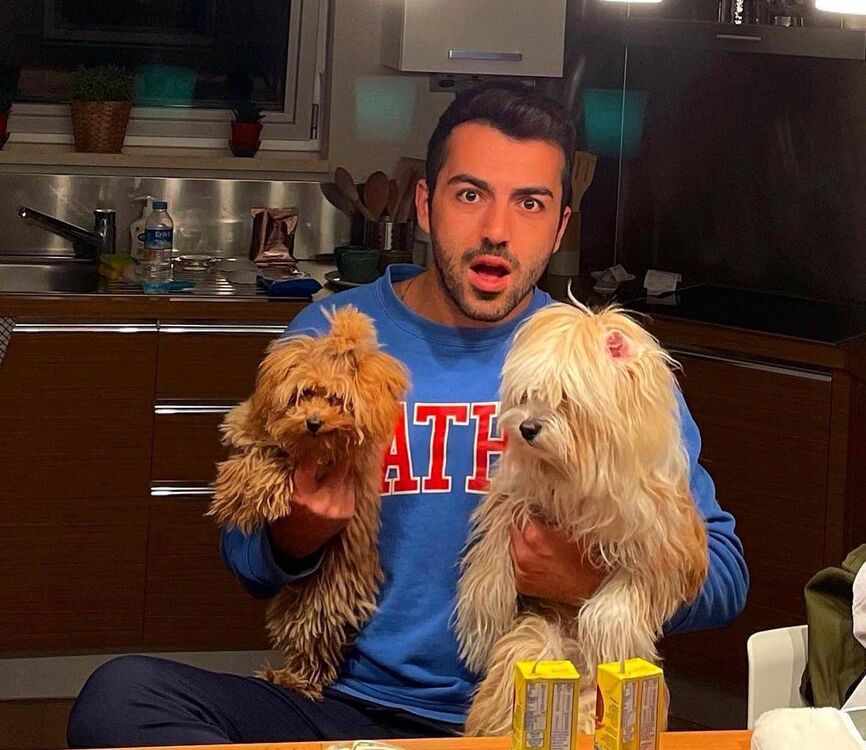 ���������� ����, ���� ������� ����, 34 ����, ������������ ��� c�������� ���������