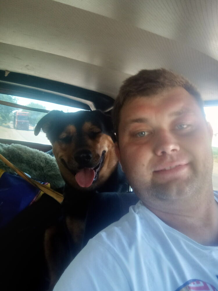 ���������� ��������������, ���� ������� ��������, 40 ���, ������������ ��� ������, ����� � ���������, c�������� ���������